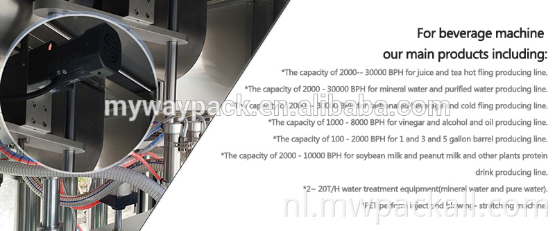 Hot Sale Factory Direct automatische sapvulling- en afdichtingsmachine Machines Liquid 6 Head